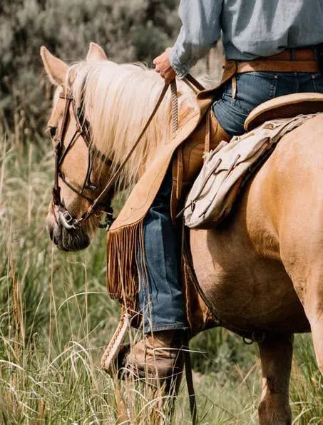 amangani reiten