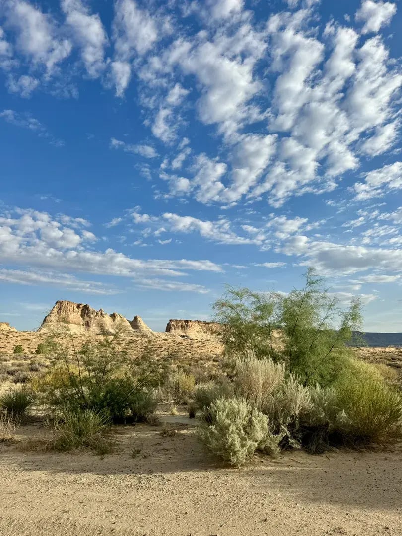 amangiri p17