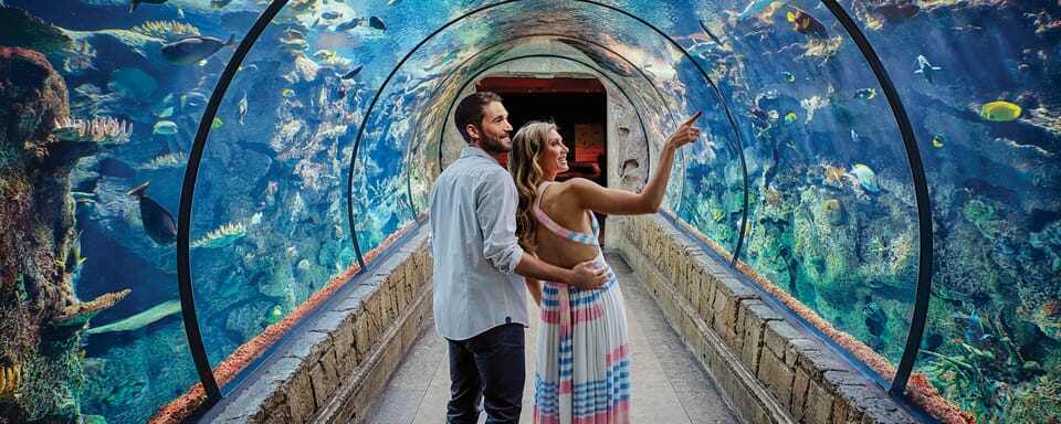 Las Vegas Shark Reef Aquarium