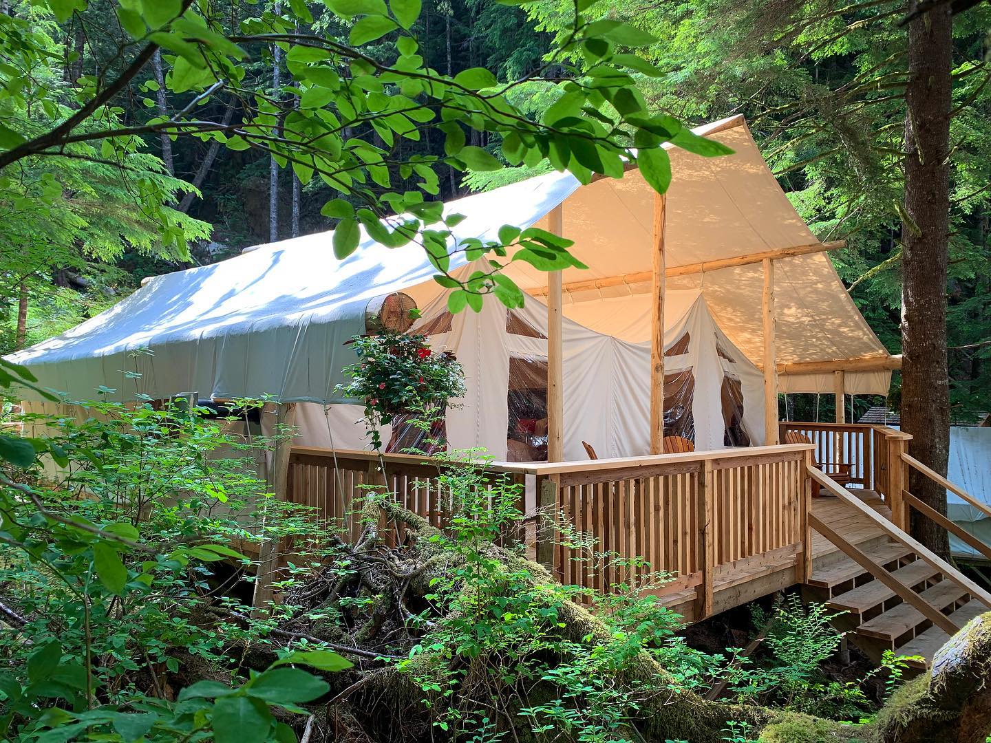 Clayoquot wilderness resort Tent
