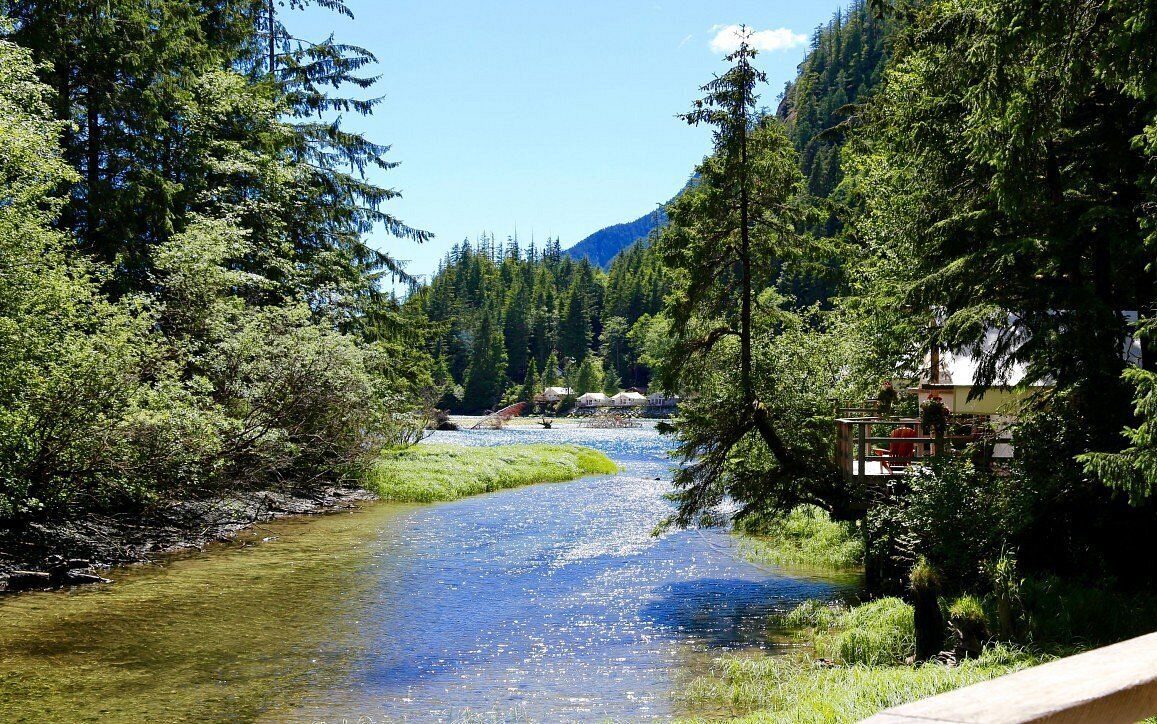 Clayoquot wilderness resort Blick auf den Fluss
