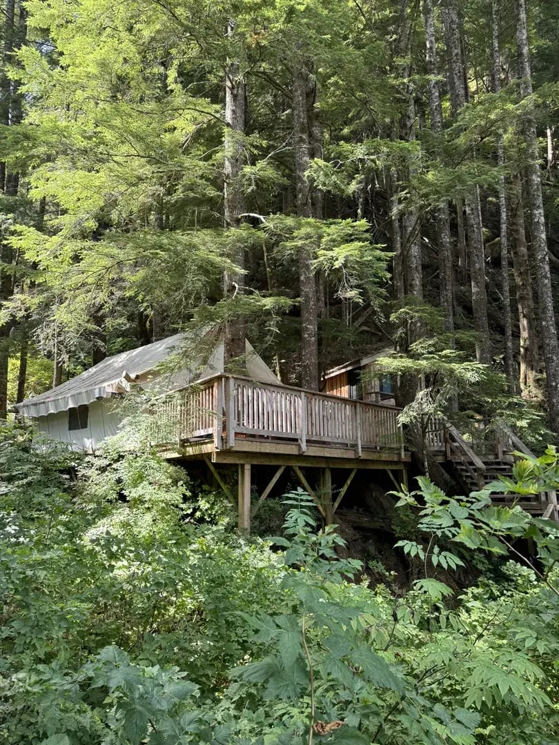 clayoquot p24
