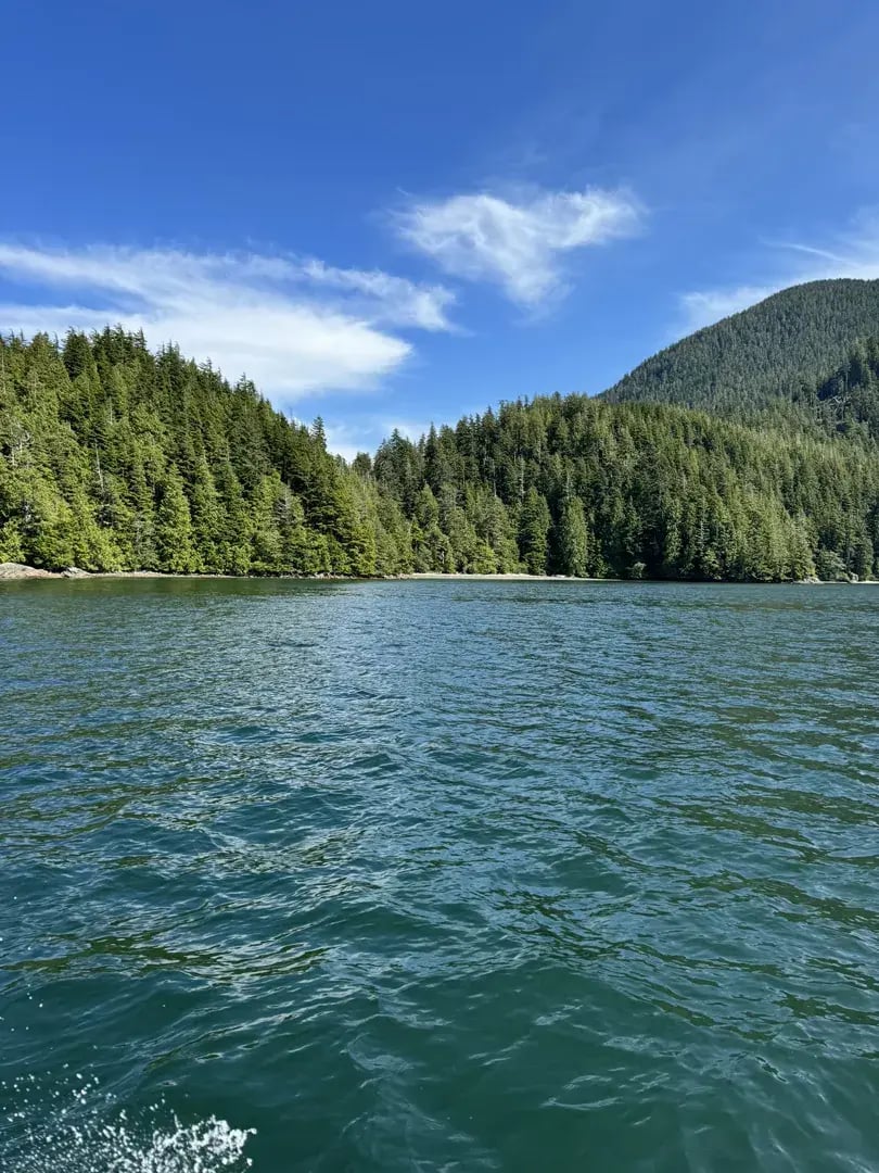 clayoquot p25
