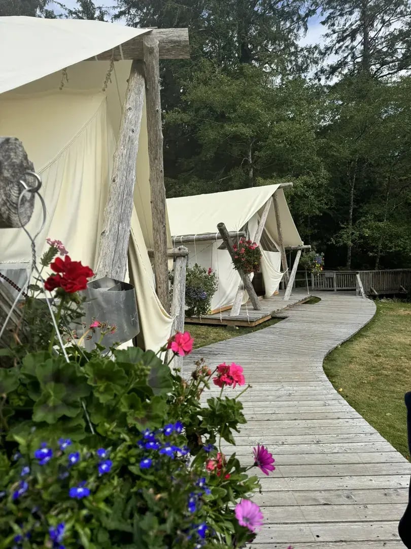 clayoquot p5