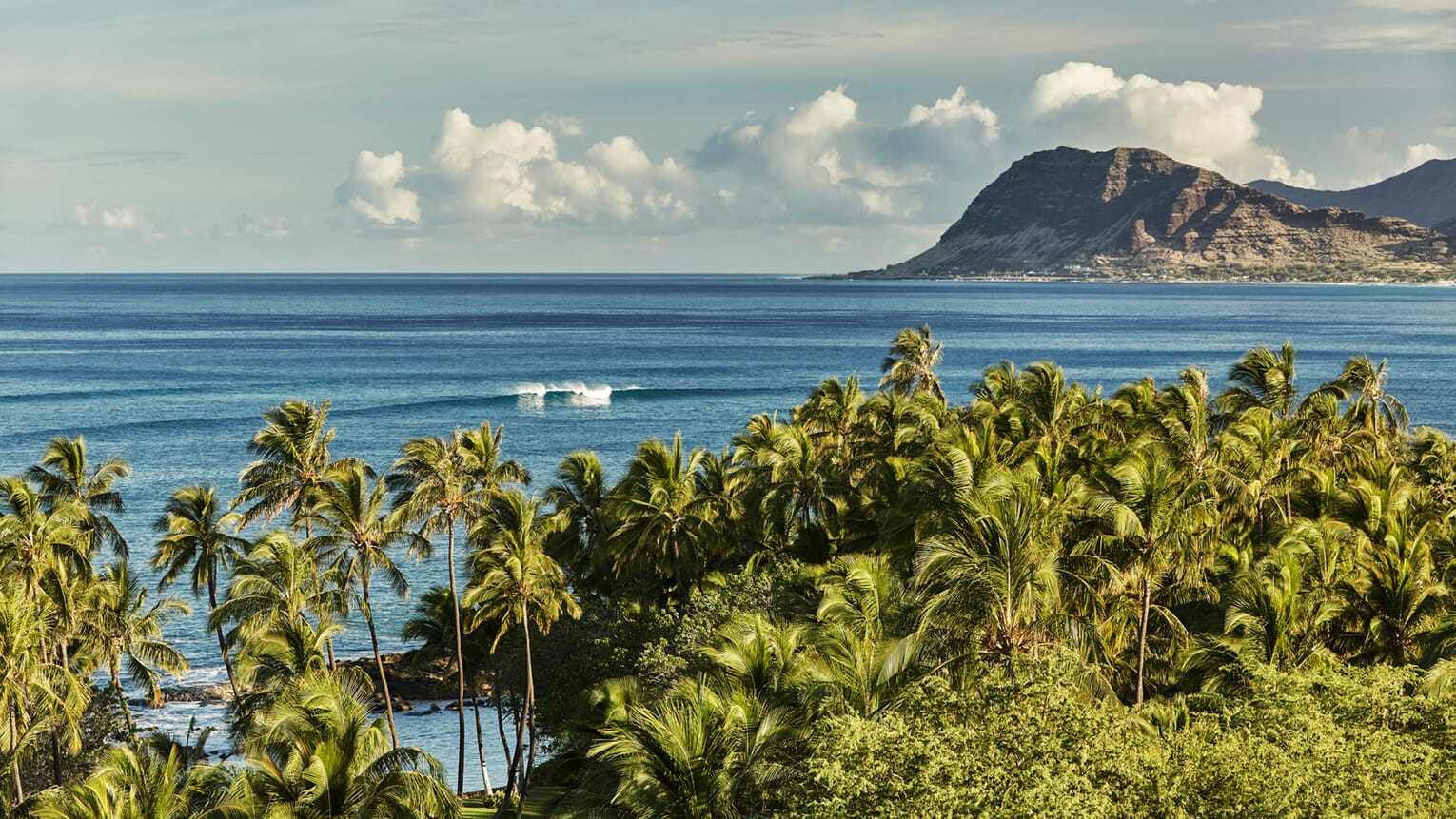 four seasons resort oahu at ko olina Palmen und Meer
