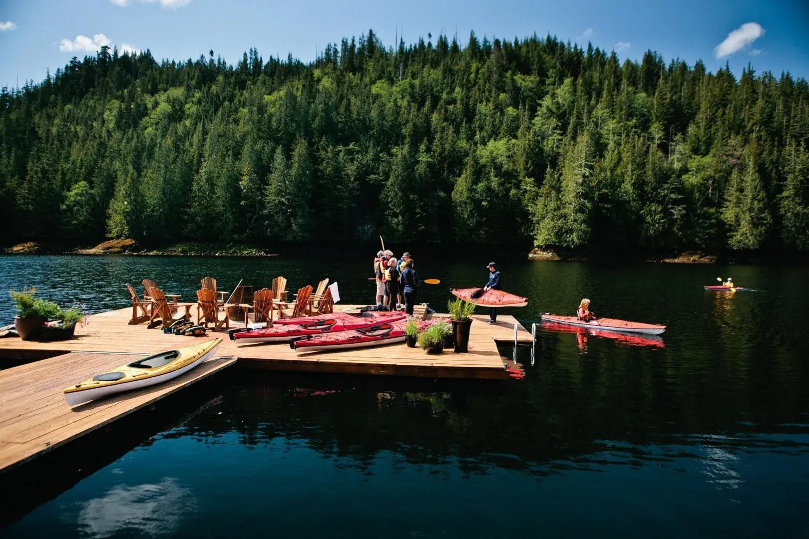 nimmo bay resort great bear rainforest kanada nordamerika schlafzimmer beispiel the family project luxus familie kinder reisen