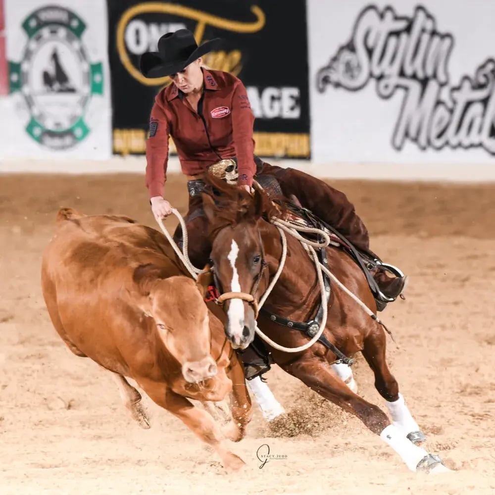 wrtcs autumns smokin cat sarah dawson nsha23 web 1000x1000