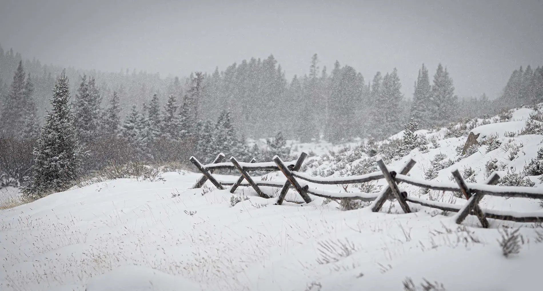 reid creek lodge schnee
