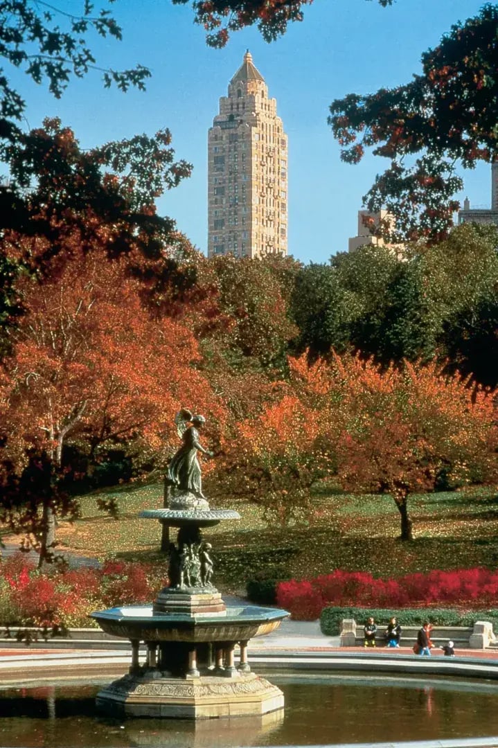 the carlyle a rosewood hotel centralpark