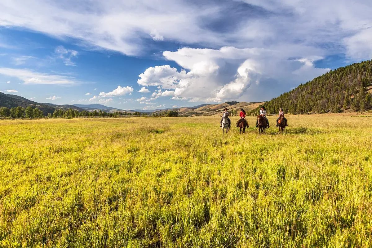 the ranch at rock creek pferde