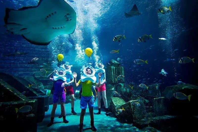 atlantis the palm orient dubai kinderspass the family project luxus familie kinder reisen