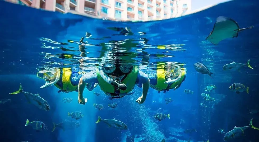 atlantis the palm schnorcheln