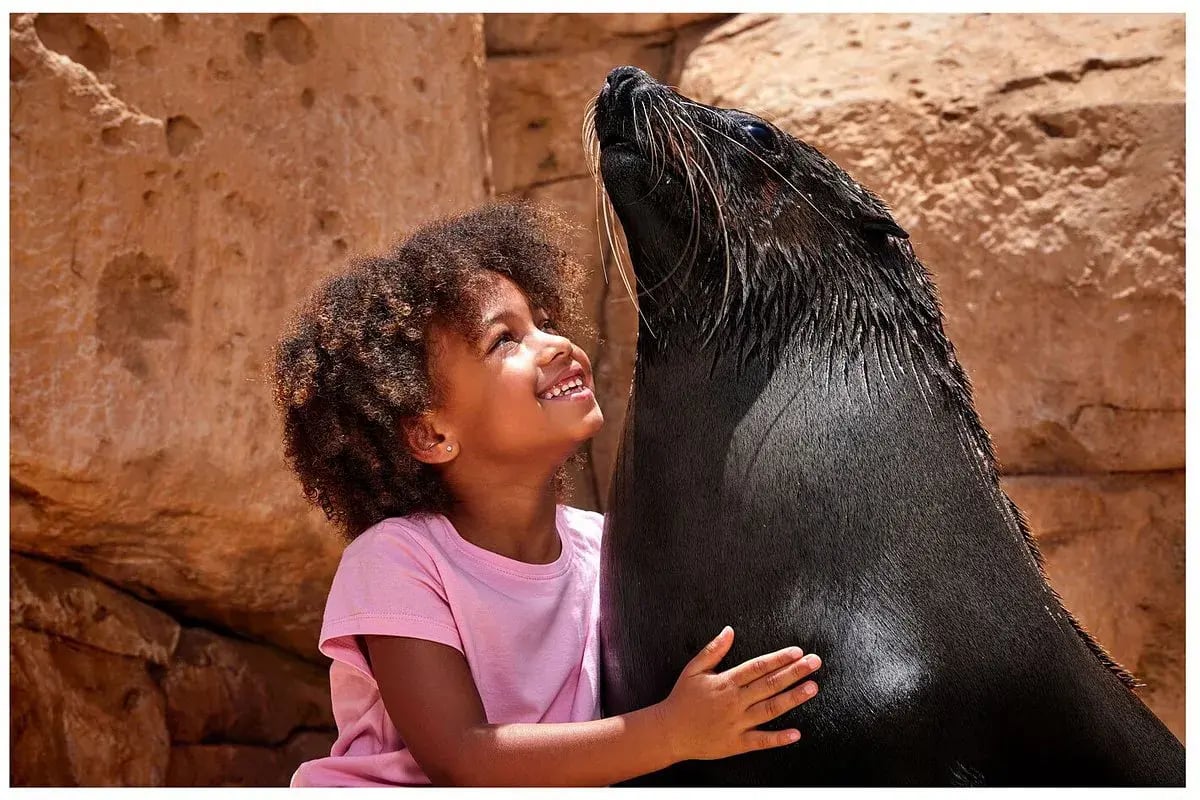 atlantis the palm seelowe