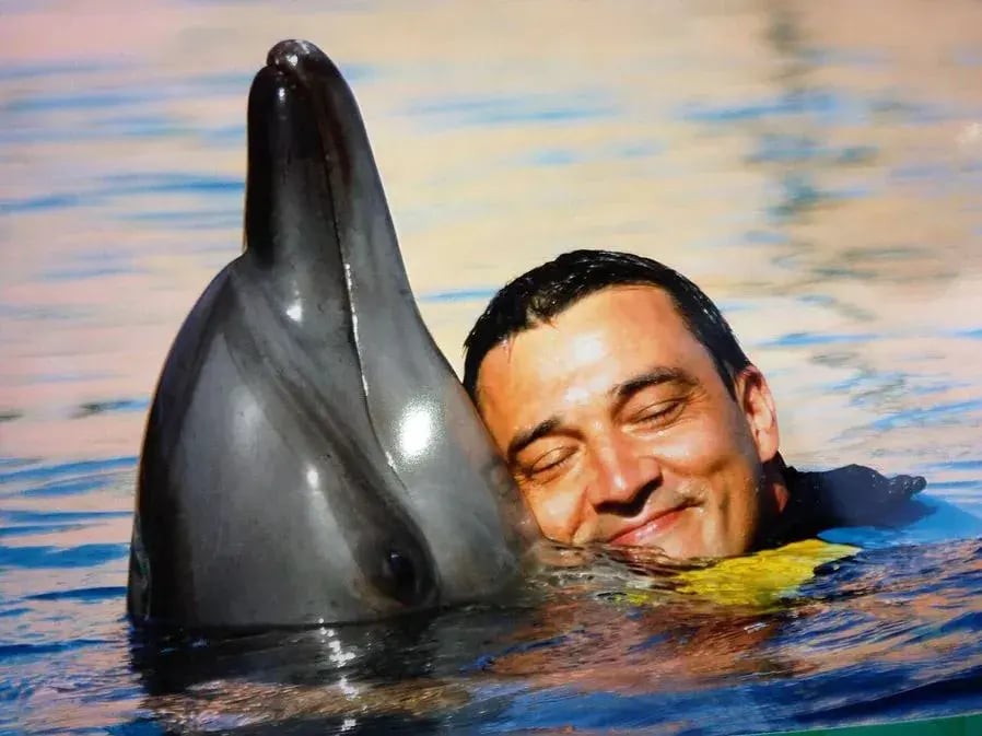 atlantis the palm mit delphin kuscheln