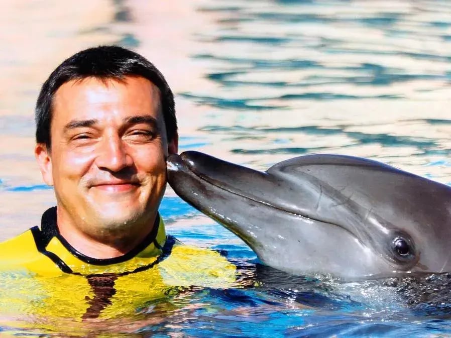 atlantis the palm mit delphin schwimmen