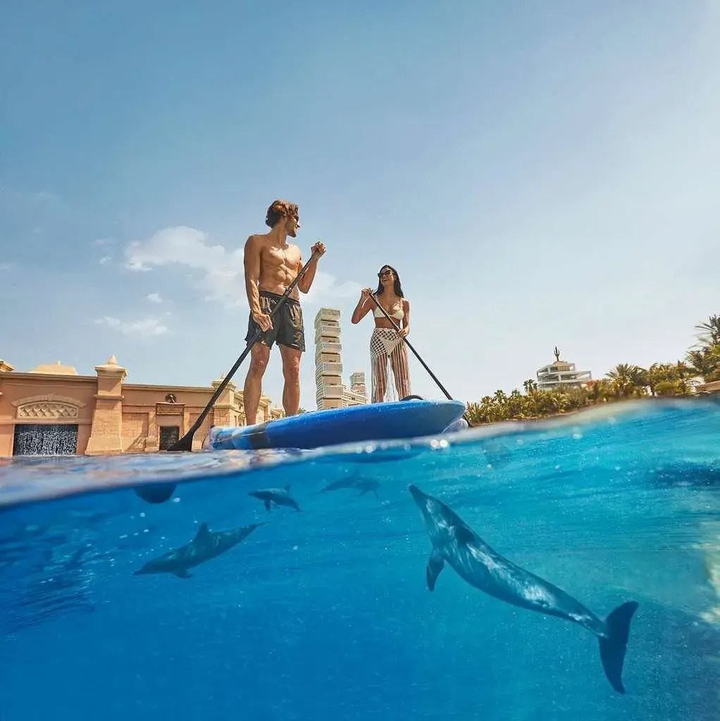 atlantis the royal surfen