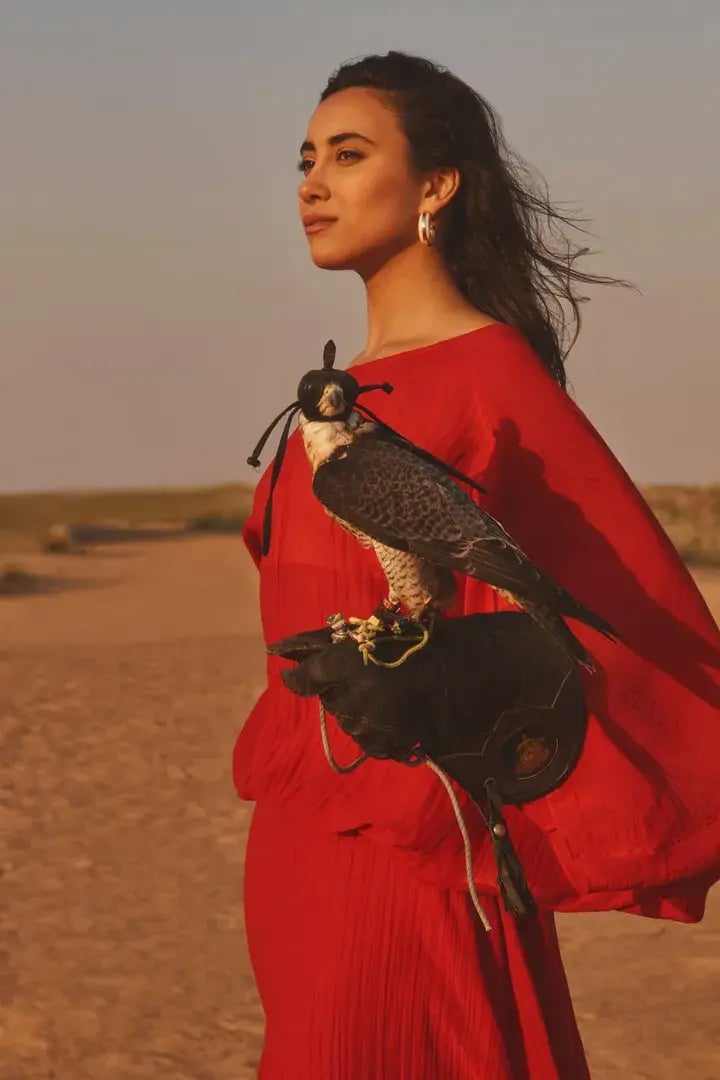 four-seasons-dubai-safari