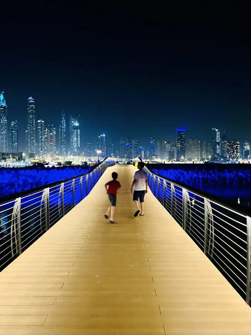oneundonly the palm dubai orient the family project privatbilder by night