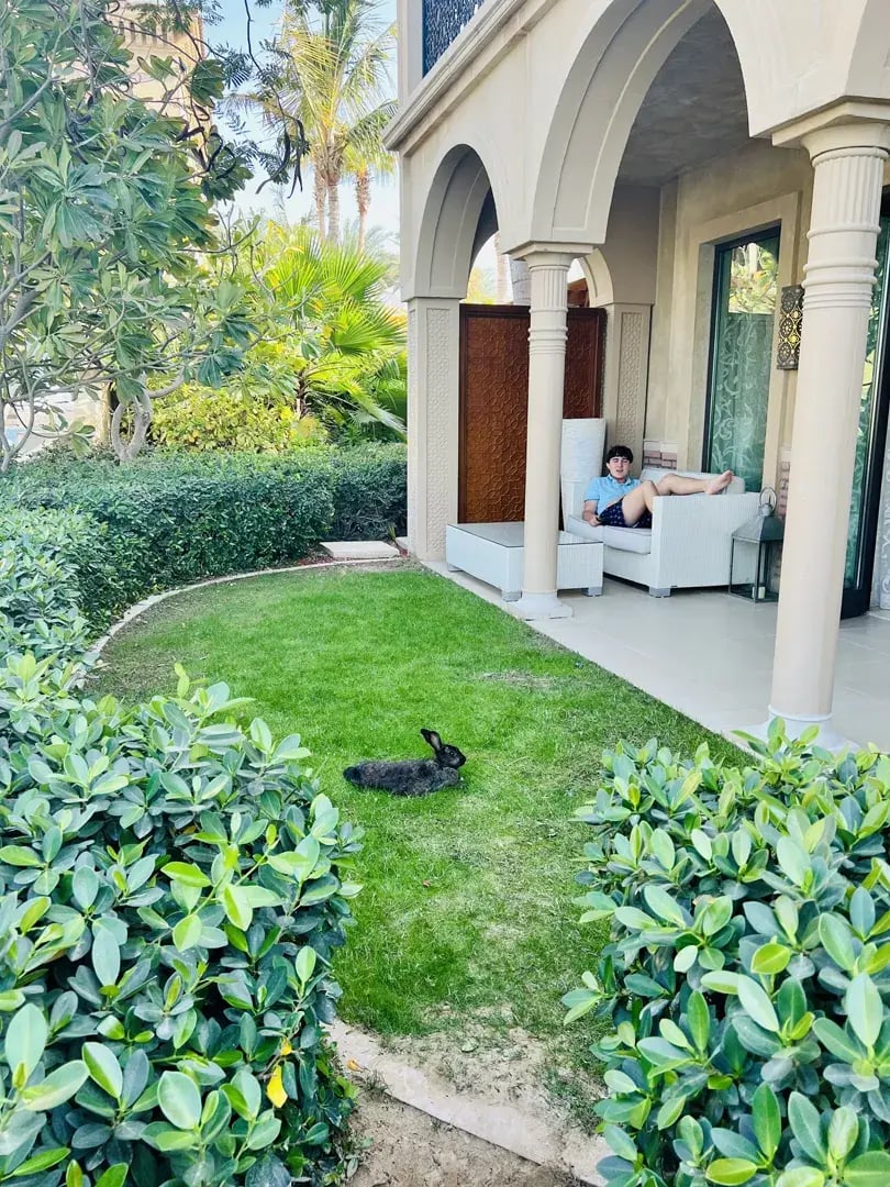 oneundonly-the-palm-dubai-orient-the-family-project-privatbilder-garten-hase