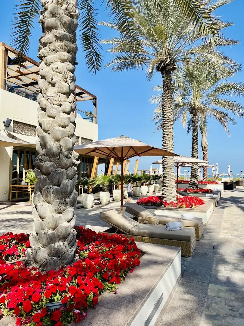 park hyatt abu dhabi saadiyat island orient privatbilder palmen garten