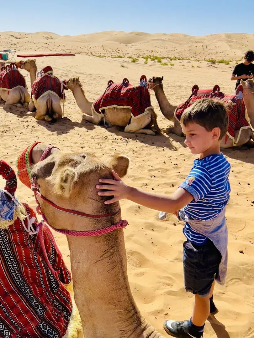 qasr al sarab desert resort by anantara abu dhabi privatbilder wuste kamel