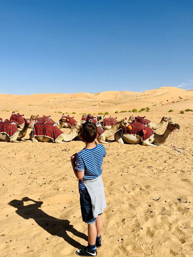 qasr-al-sarab-desert-resort-by-anantara-abu-dhabi-privatbilder-wuste-kamele