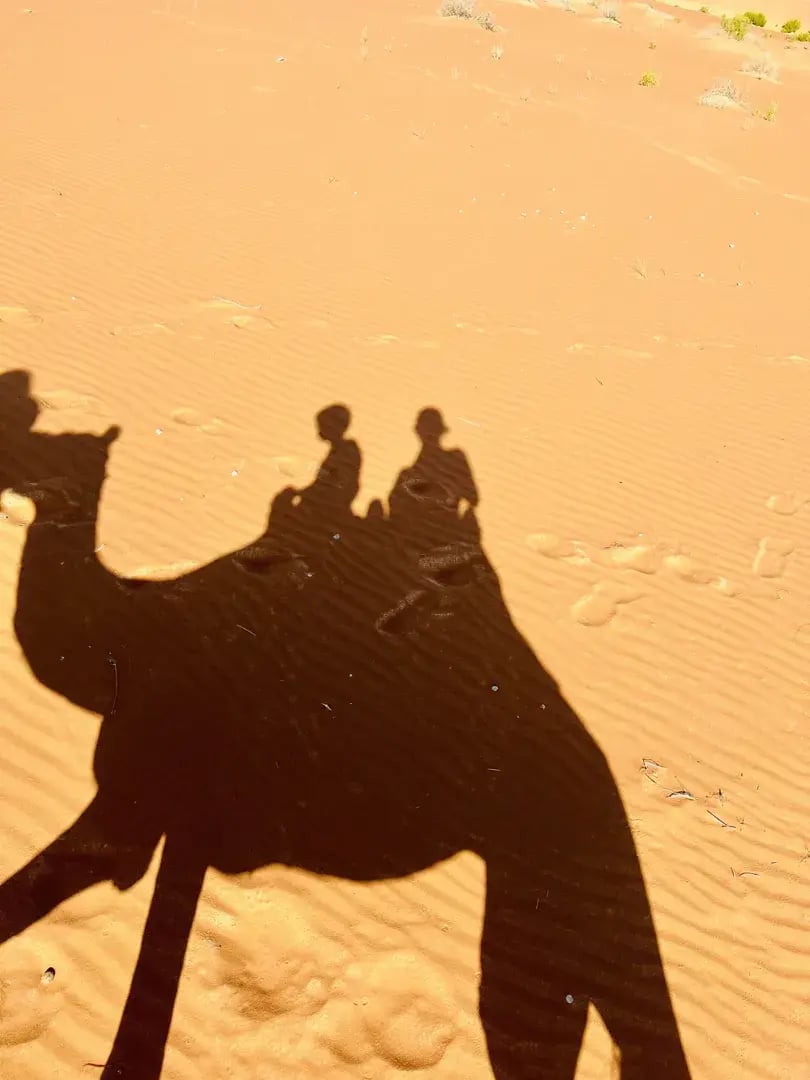 qasr al sarab desert resort by anantara abu dhabi privatbilder wuste kamelreiten s