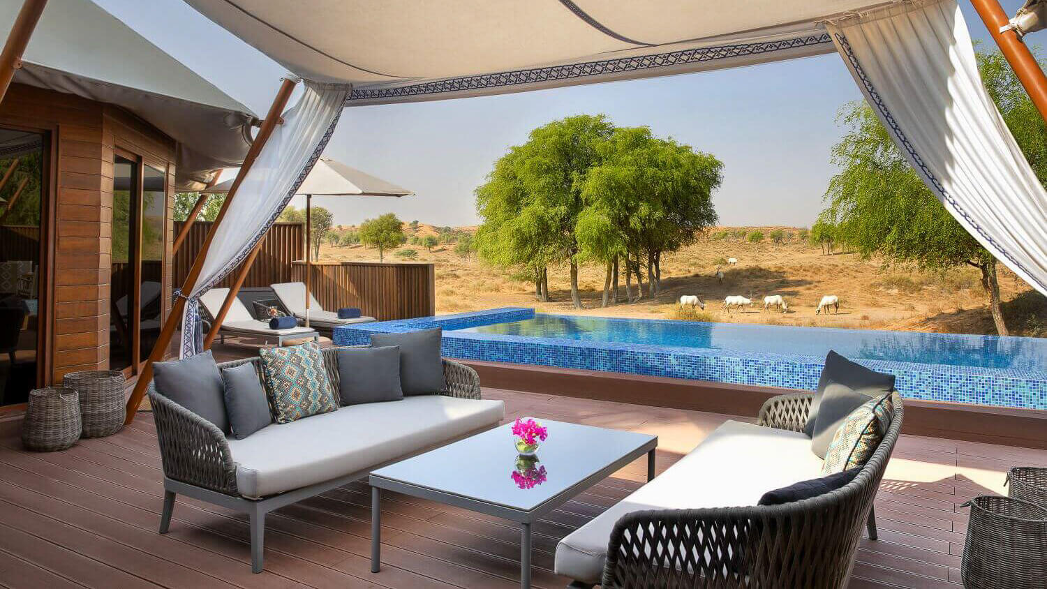 Terrasse mit einem Zeltdach an einem Pool, im Hintergrund grasen Oryxantilopen.