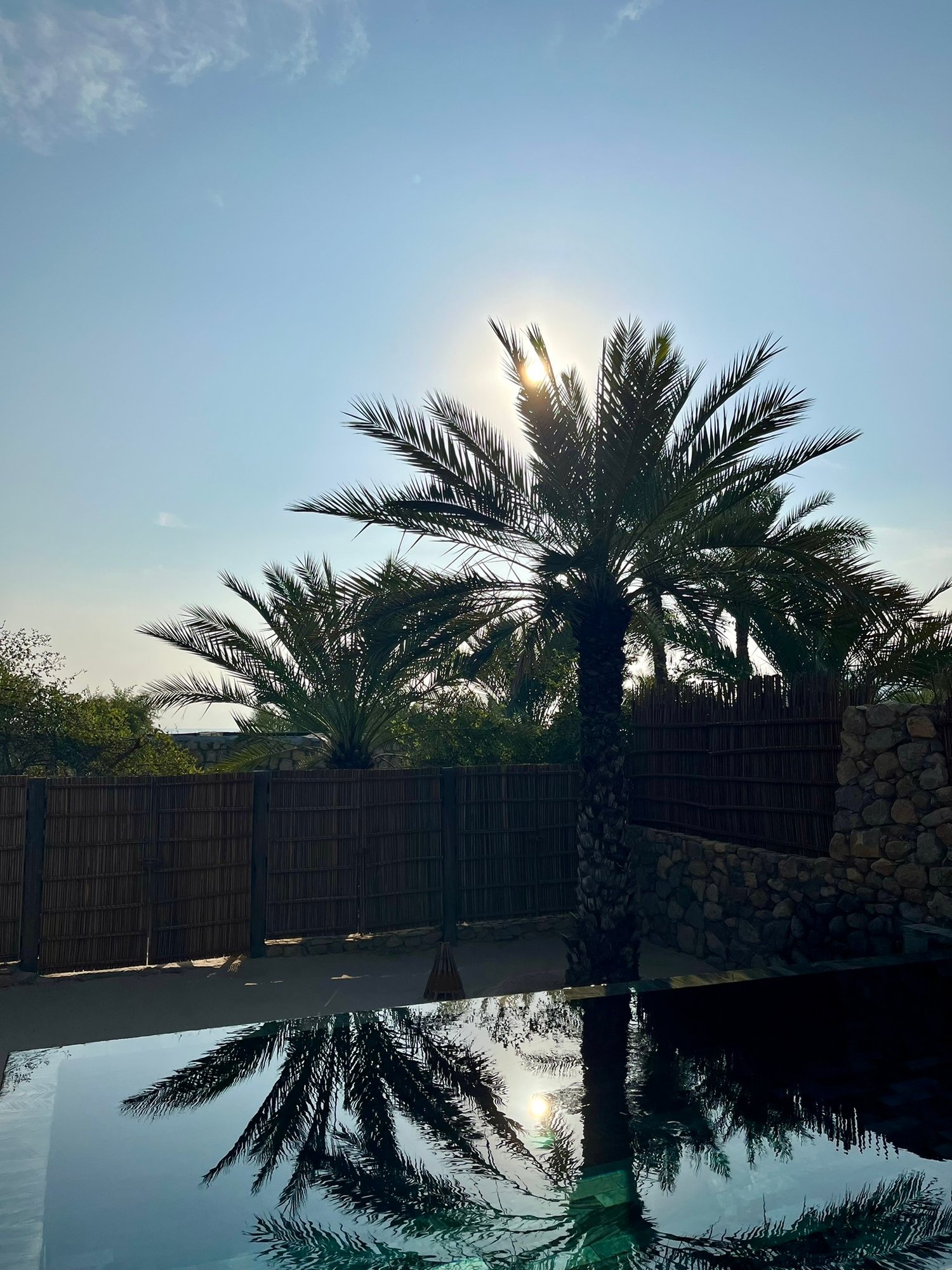 Poolanlage mit Palmen