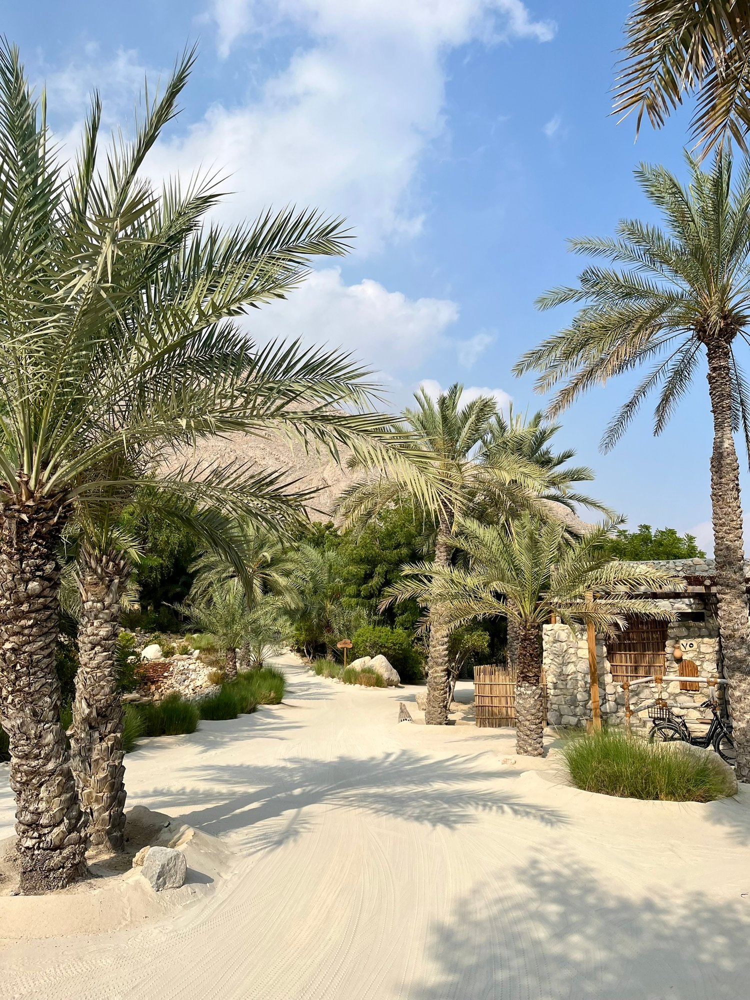 Palmen und Sand