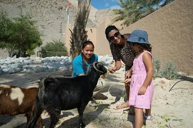 six senses zighy bay goat