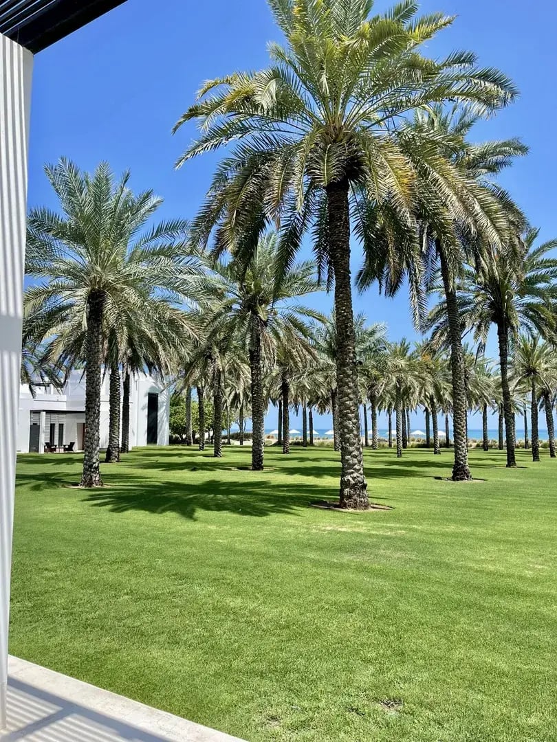 the chedi muscat oman orient the family project privatbilder palmen garten