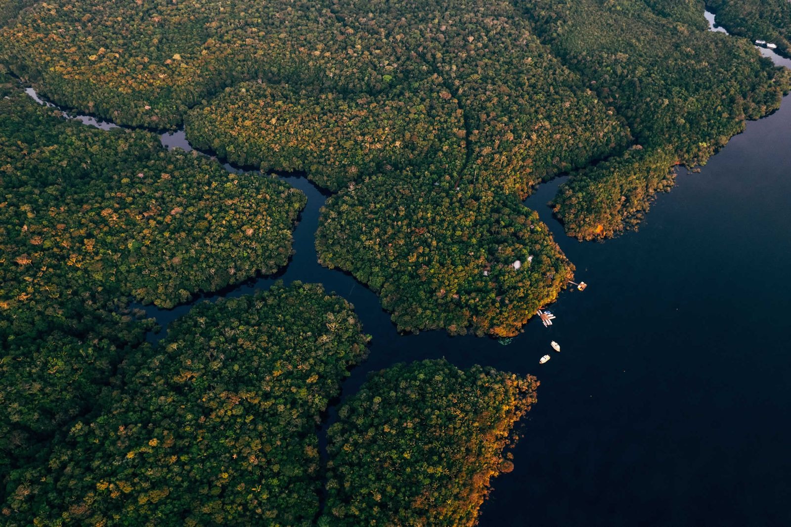anavilhanas-jungle-lodge-brasilien-familienluxusreisen-thefamilyproject-aerial