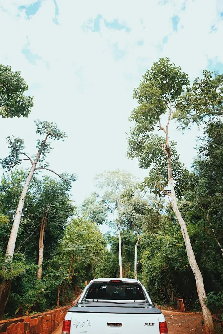 awasi iguazu tour