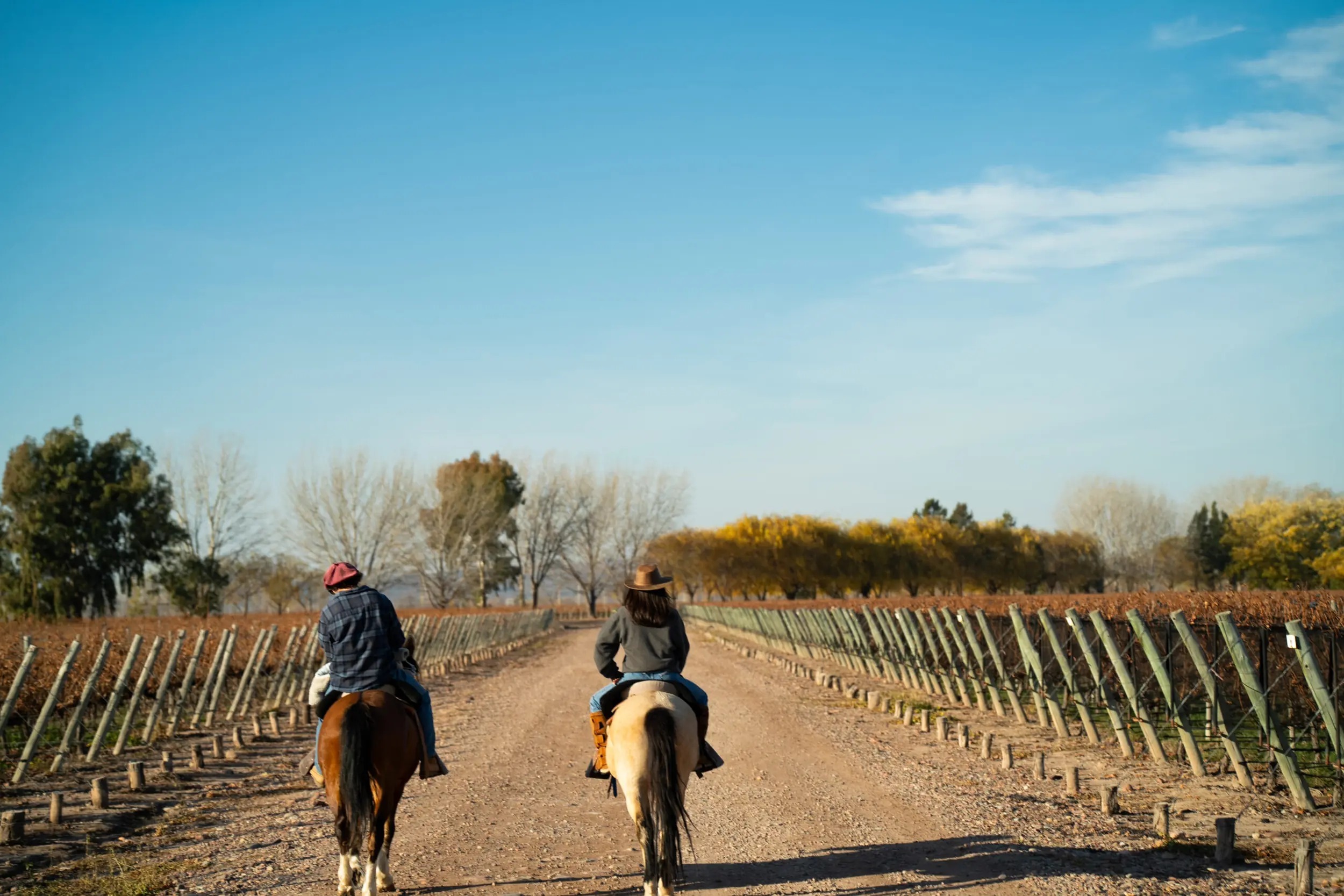 awasi-mendoza-argentinien-familienluxusreisen-thefamilyproject-ausritt