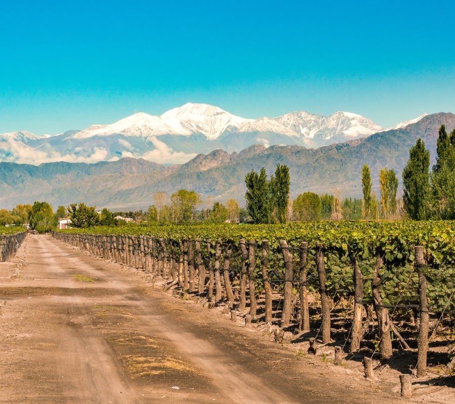 mendoza-argentinien