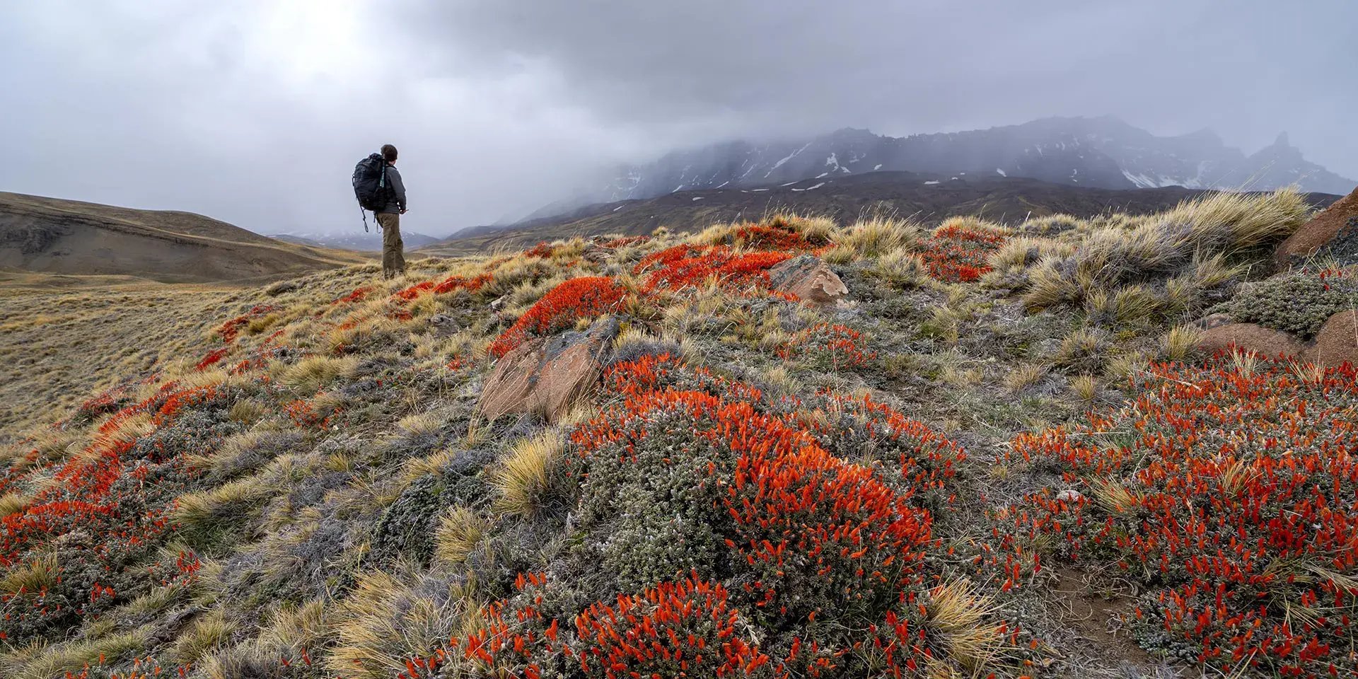 awasi patagonia patagonien torres del paine chile sudamerika wandern natur luxus urlaub kinder the family project