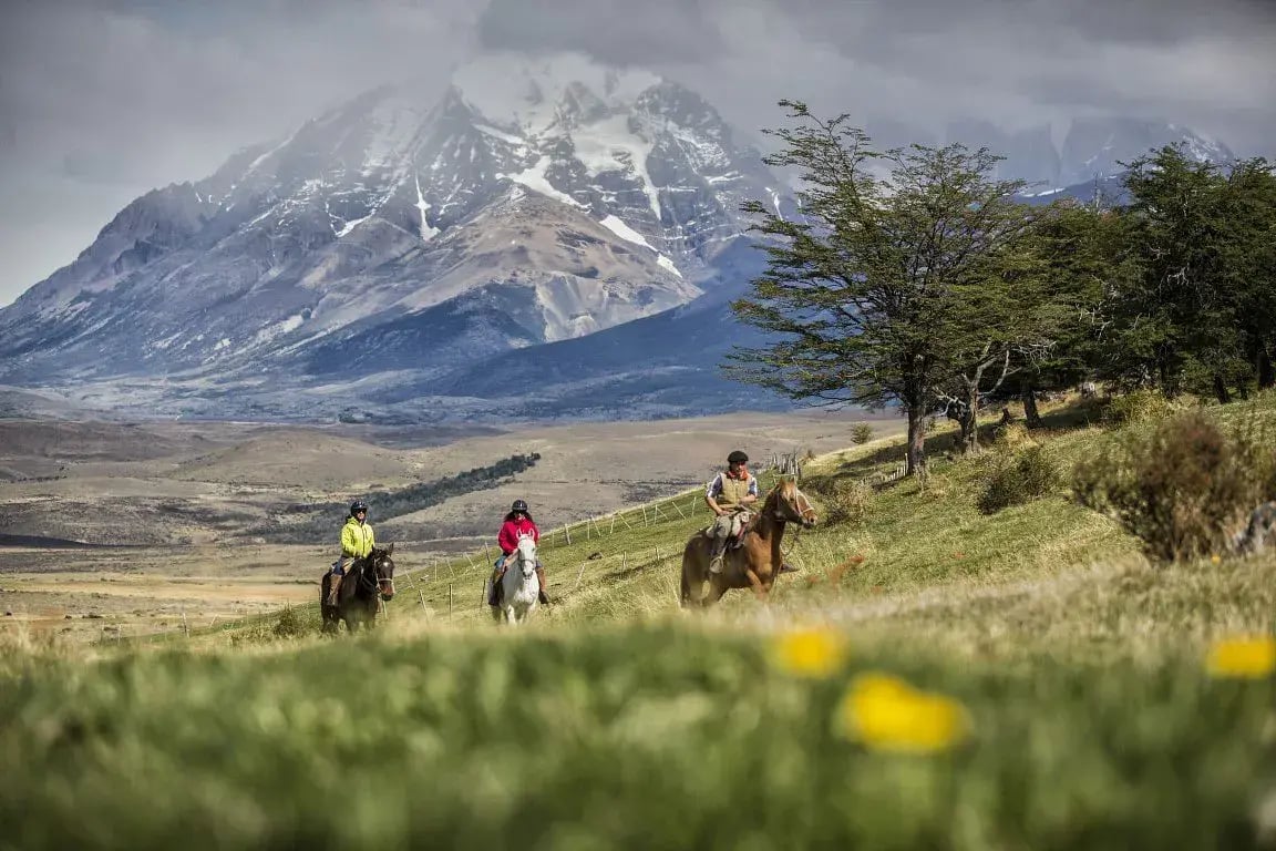 awasi patagonia reiten
