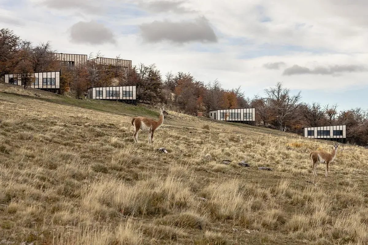 awasi patagonia relais