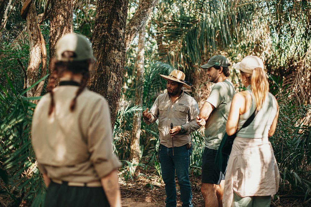 caiman-pantanal-brasilien-familienluxusreisen-thefamilyproject-tour