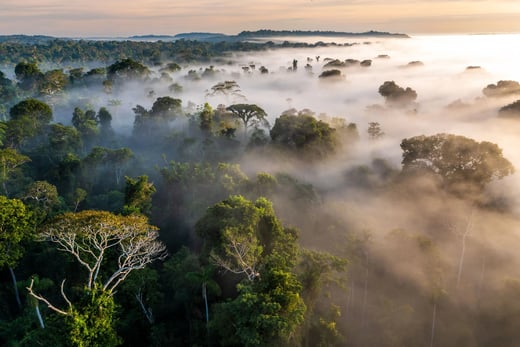 cristalino-lodge-brasilien-familienluxusreisen-thefamilyproject-umgebung