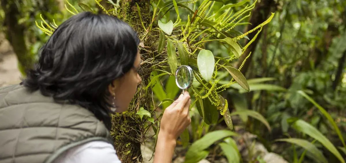 inkaterra machu picchu k1