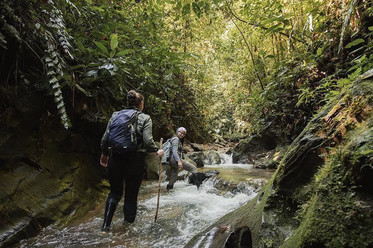 mashpi lodge wandern