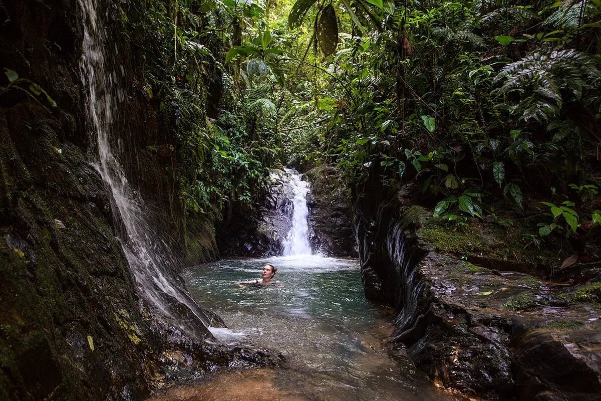 mashpi lodge wasserfall