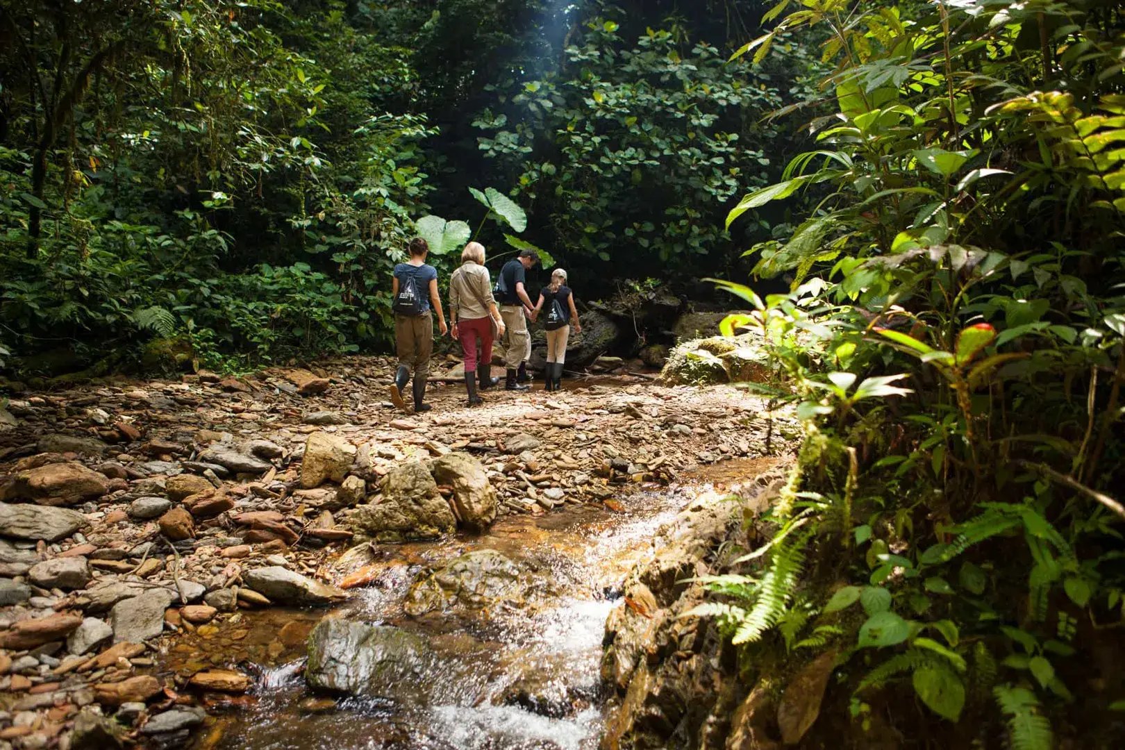 mashpi lodge reserve ecuador anden sudamerika wandern familienvergnugen exklusiv regenwald luxus urlaub kinder the family project