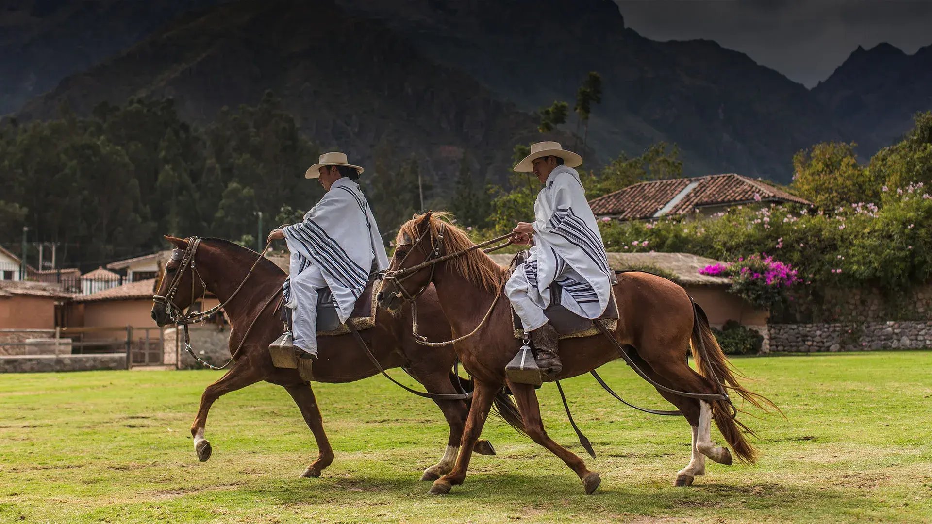 sol luna horses