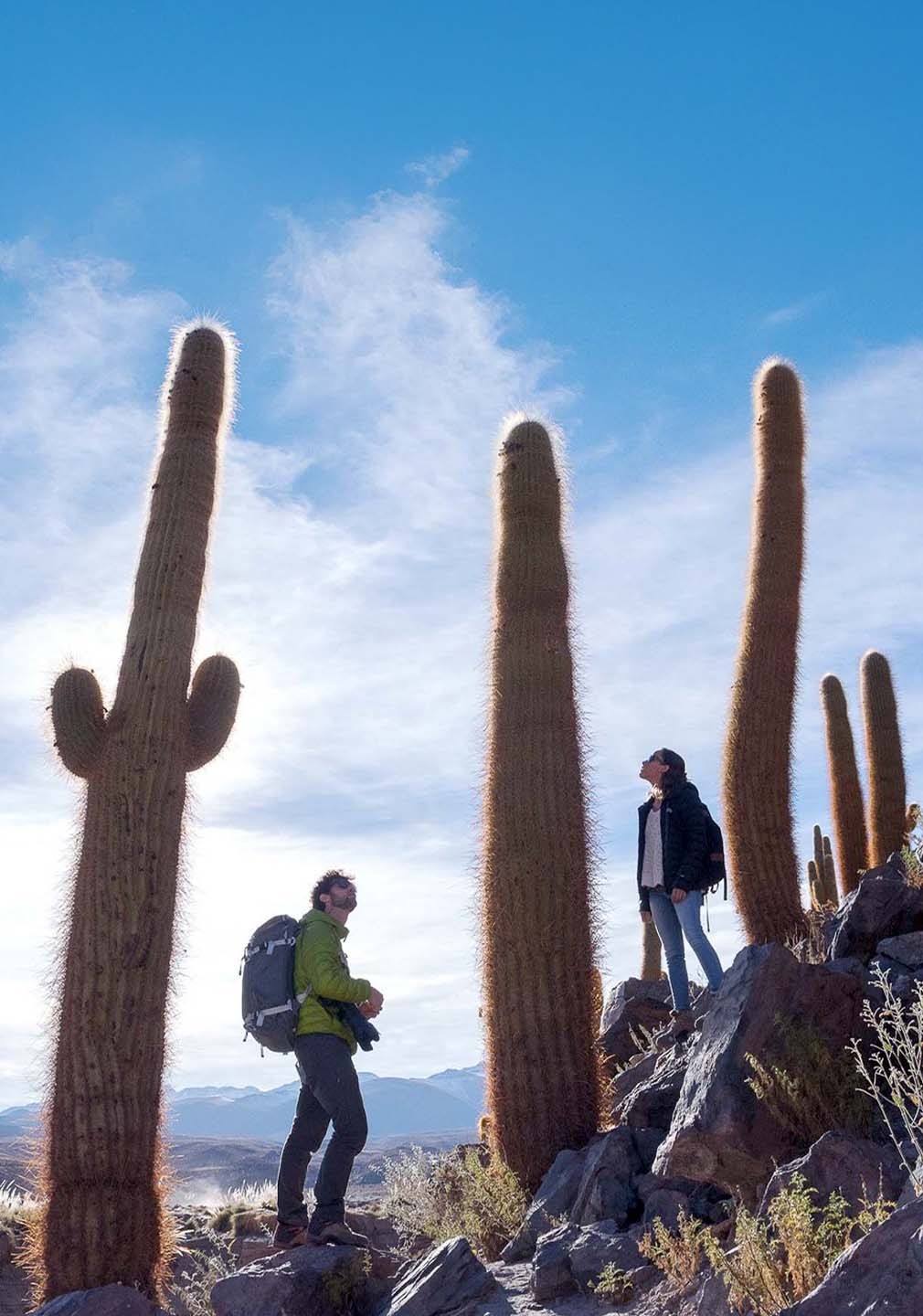 tierra-atacama-chile-familienluxusreise-thefamilyproject-guatin-gatchi-valley