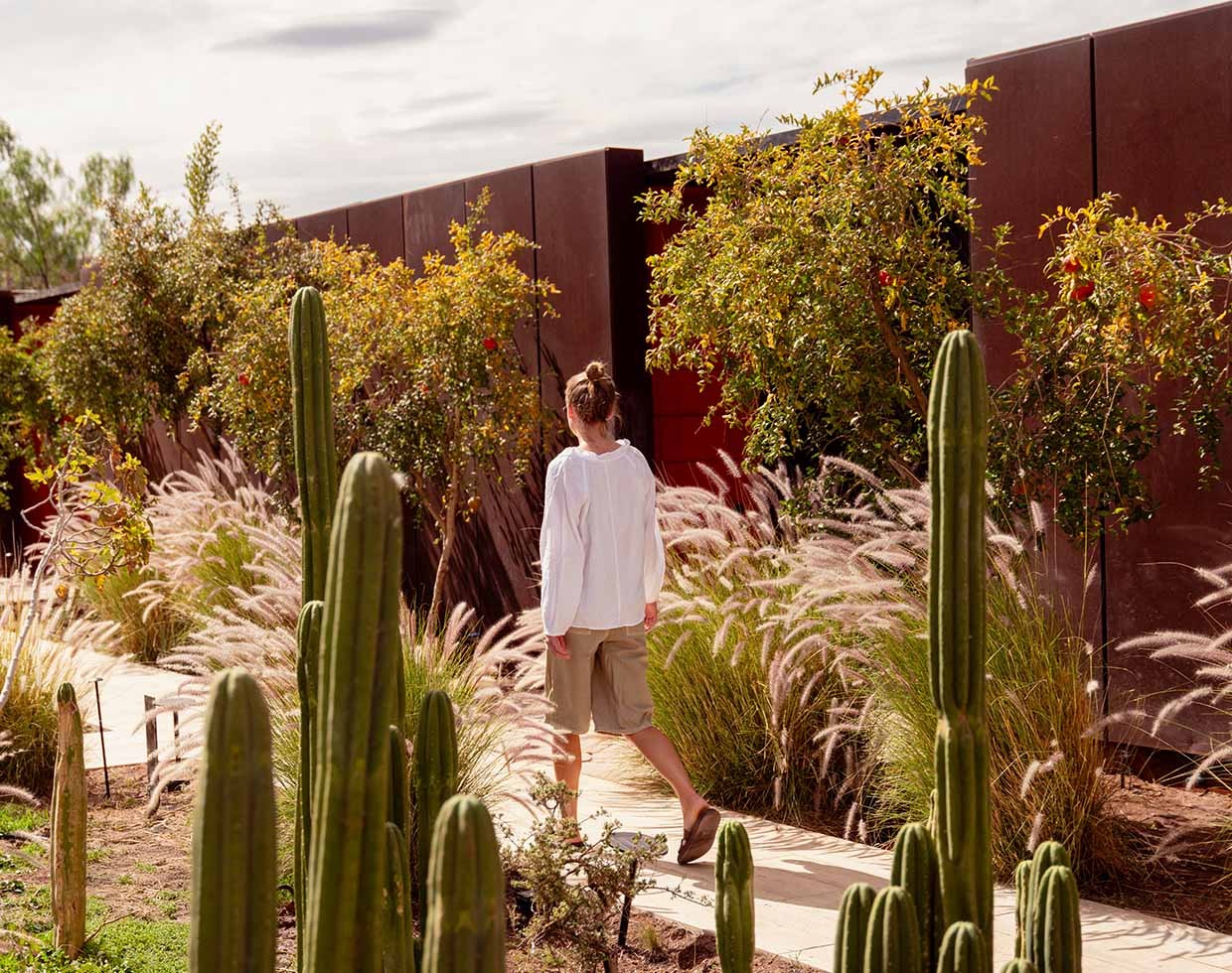 tierra-atacama-chile-familienluxusreise-thefamilyproject-kakteen