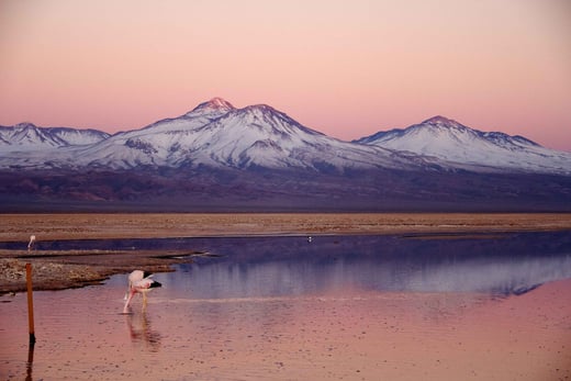 tierra atacama chile familienluxusreise thefamilyproject natur