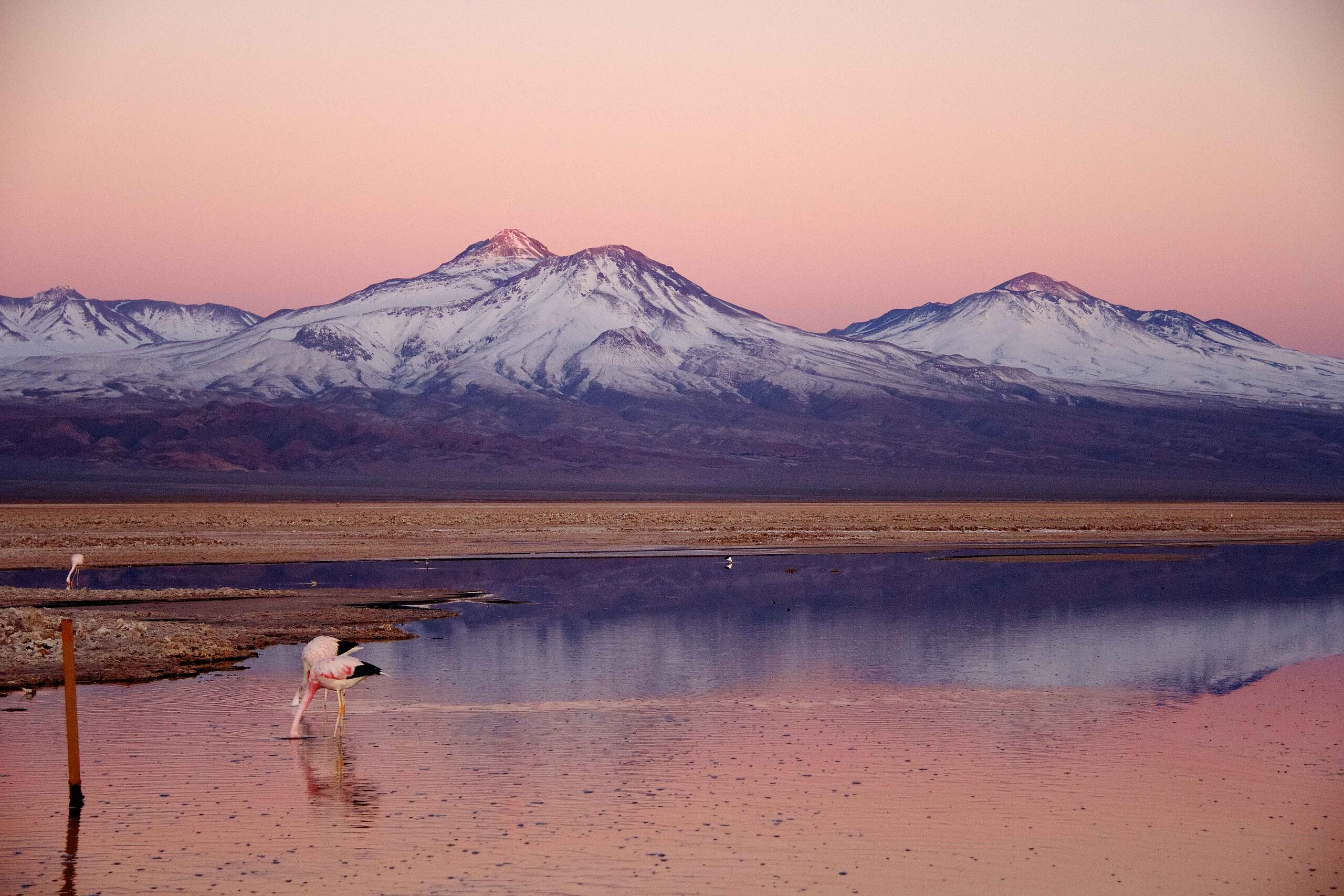 tierra-atacama-chile-familienluxusreise-thefamilyproject-natur
